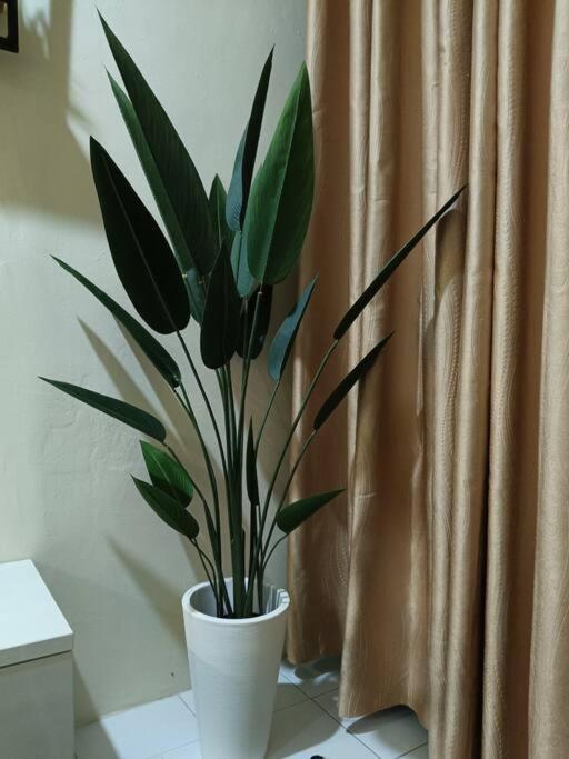 Healing Homestay كانجار المظهر الخارجي الصورة